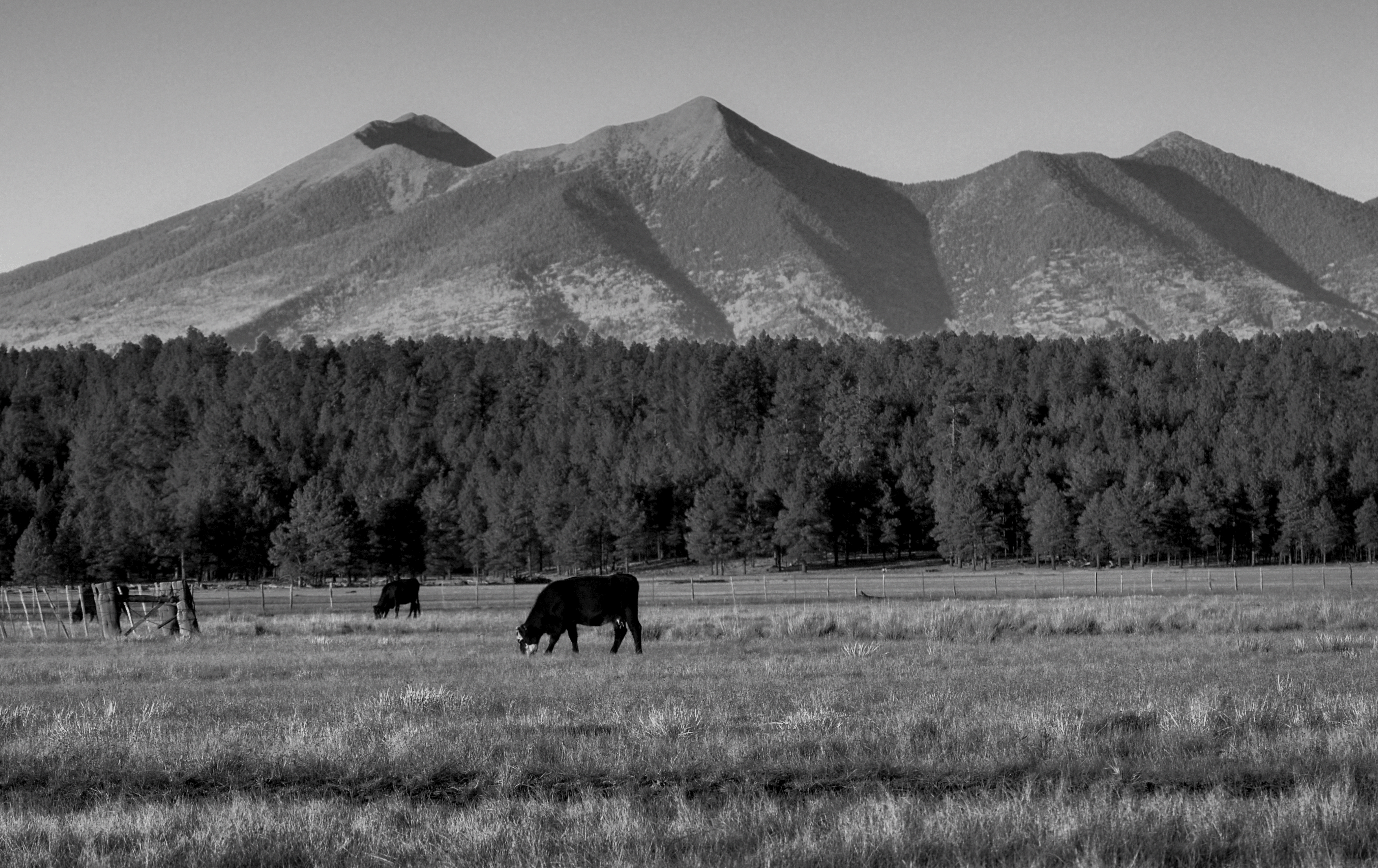 san francisco peaks